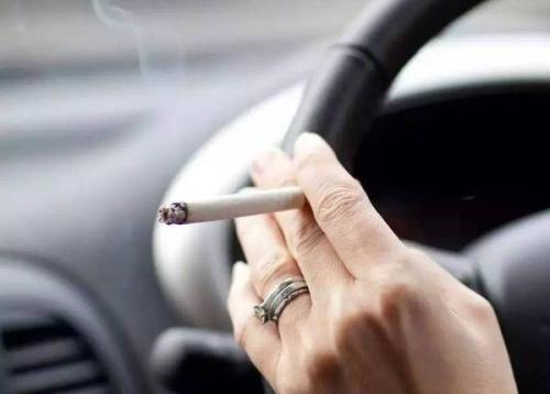 建议：在车内放上这几样，让你轿车除烟味