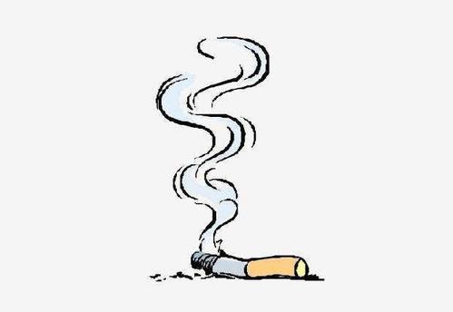 三种轿车除烟味小妙招