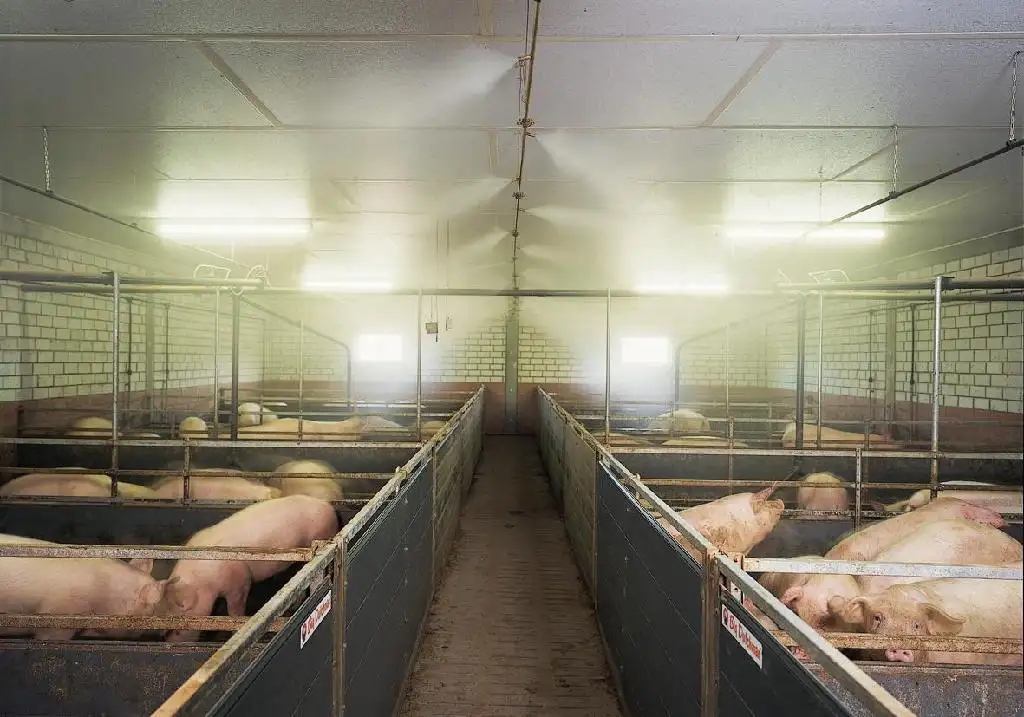 除了运用除臭剂，还有7种办法进行养猪场除异味