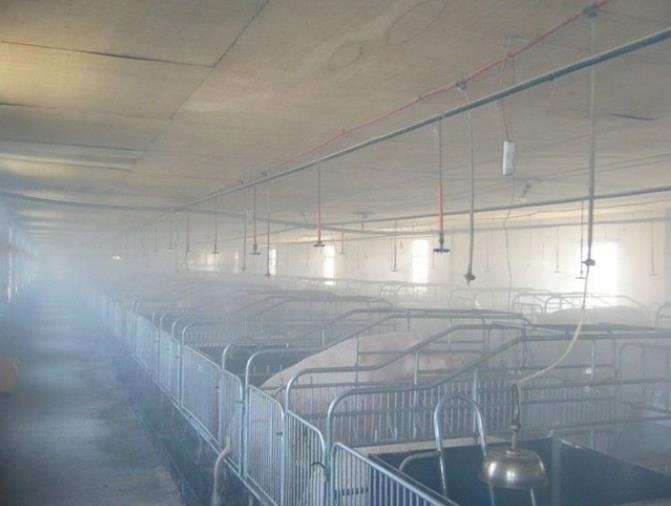 养殖场除臭需要进行哪些步骤？