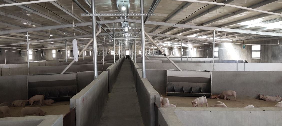 如何评估养猪场除臭的效果，并进行持续的优化和改进？
